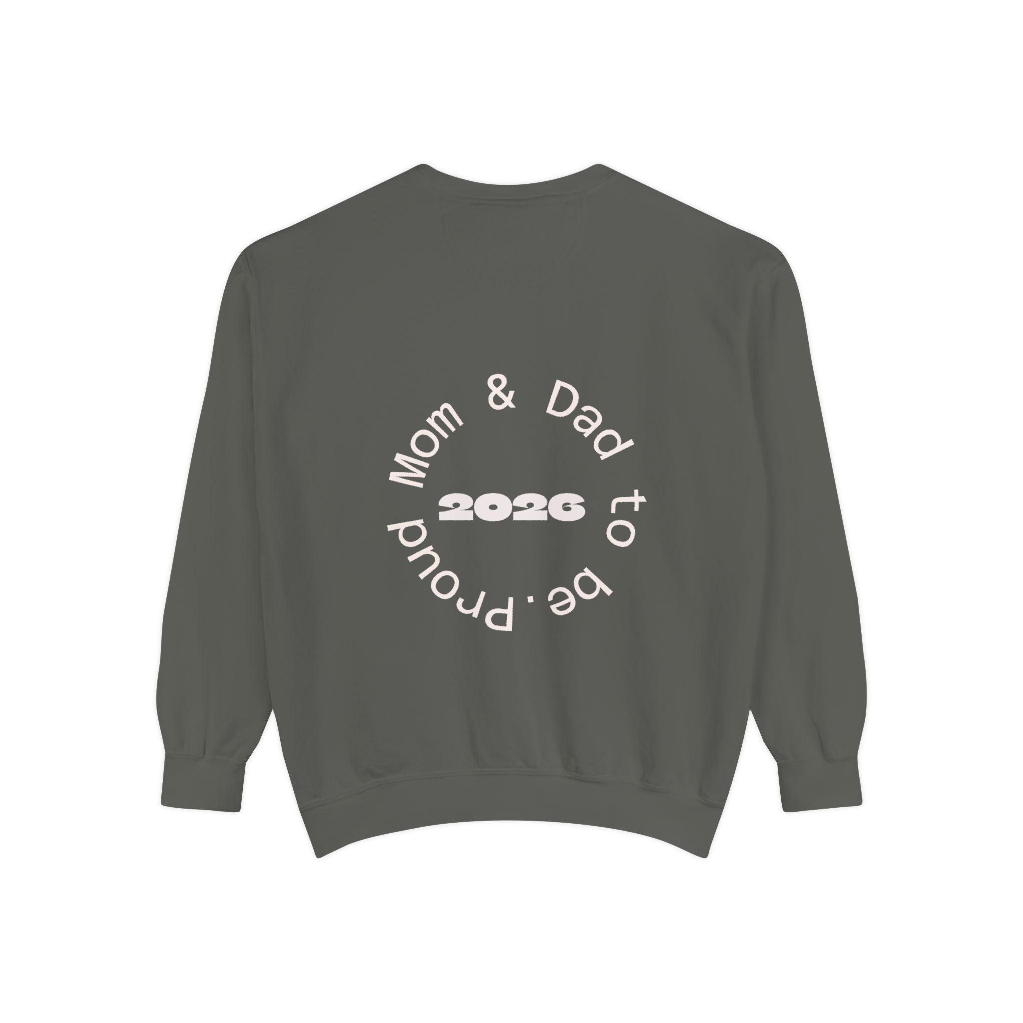 Pumpkin Pregnancy Announcement Sweatshirt, Cozy Fall Apparel, Expecting Parents Gift, Halloween Family Outfit, Thanksgiving Celebration Wear