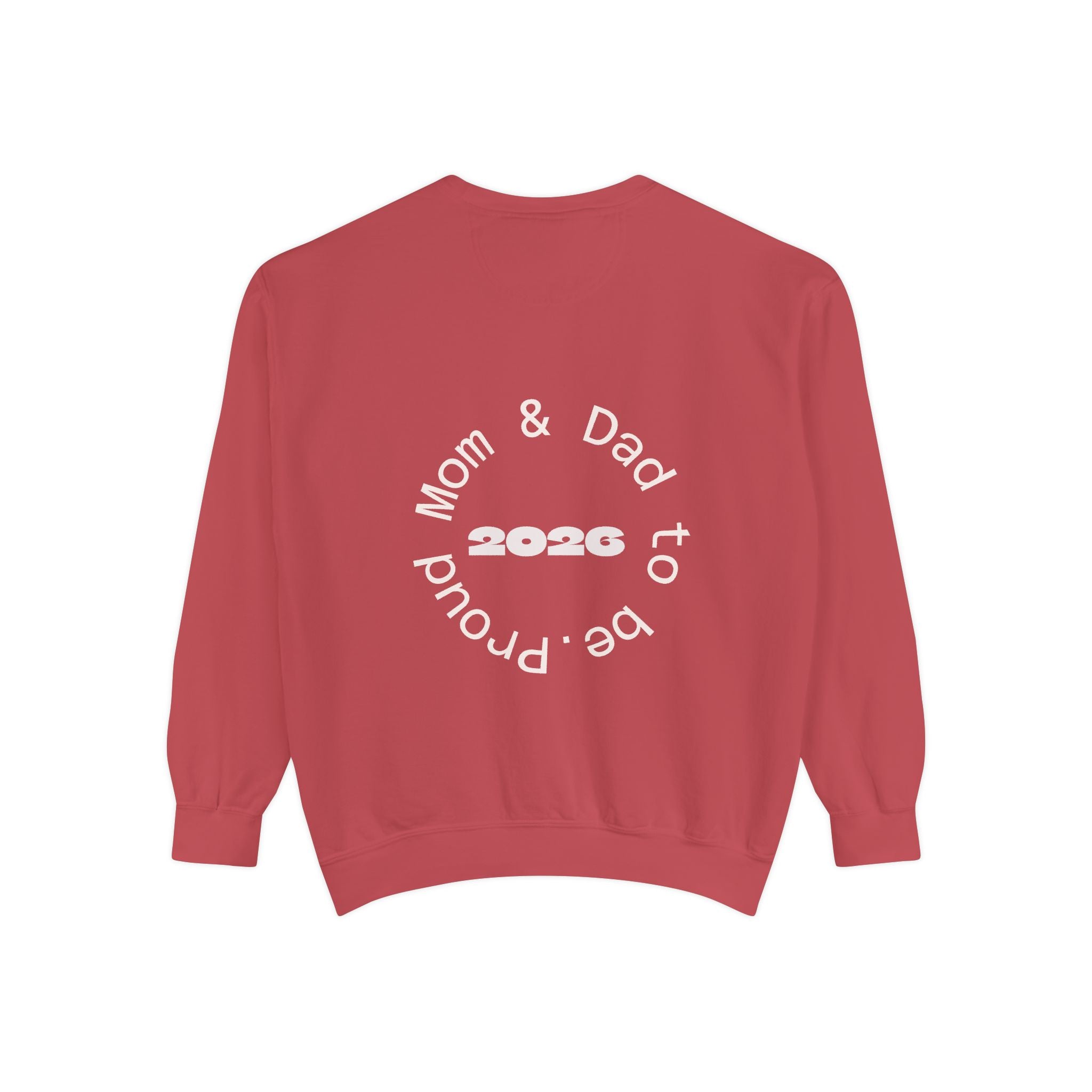 Pumpkin Pregnancy Announcement Sweatshirt, Cozy Fall Apparel, Expecting Parents Gift, Halloween Family Outfit, Thanksgiving Celebration Wear